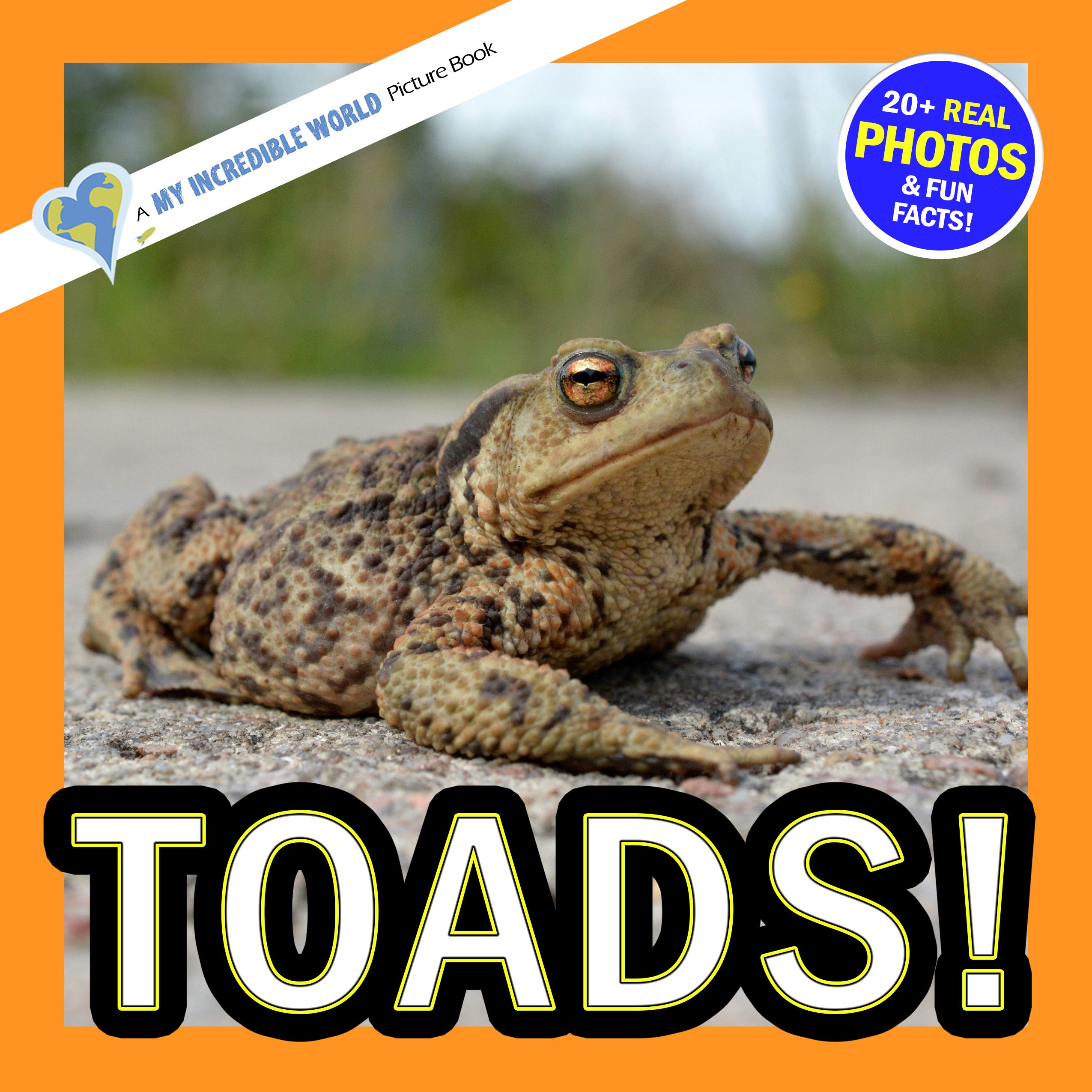 A children's picture book cover titled 'TOADS!' featuring a close-up photo of a brown and tan toad on a stone surface. The cover has an orange border, a blue circular badge reading '20+ REAL PHOTOS & FUN FACTS!', and a diagonal banner reading 'A MY INCREDIBLE WORLD Picture Book'.